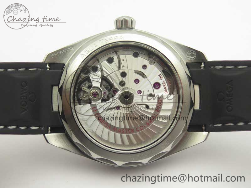 Aqua-Terra-150M-Master-Chronometers-VSF-1-1-Best-Edition_057.jpg